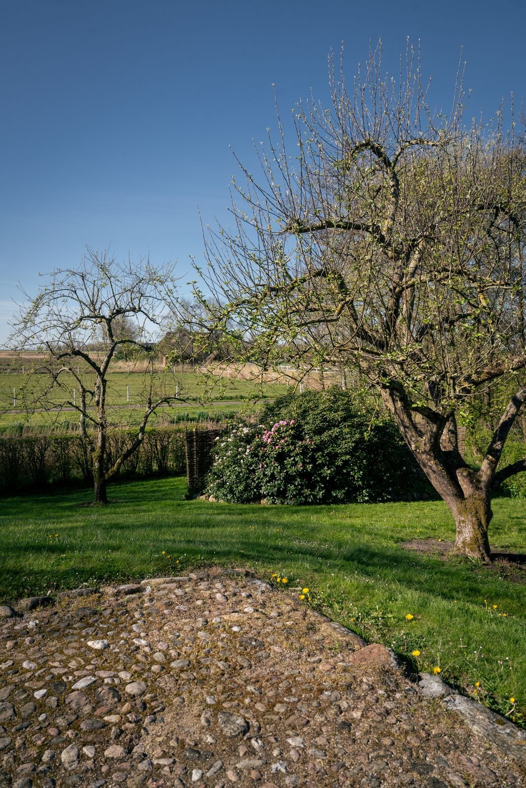 Angelegter Privatgarten mit Apfelbäumen als Sichtschutz